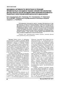 Динамика активности желатиназ и реакций кровеносных сосудов в тканях слизистой оболочки десны крысы после воздействия низкоинтенсивного лазерного излучения инфракрасного диапазона