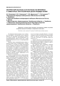 Экспрессия каспазы 32 и каспазы 8 в яичниках у самок крыс при различных дозах йодида калия