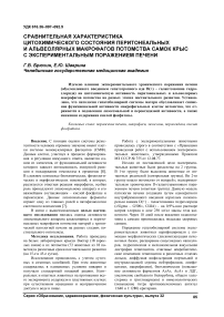 Сравнительная характеристика цитохимического состояния перитонеальных и альвеолярных макрофагов потомства самок крыс с экспериментальным поражением печени