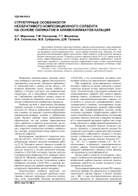 Структурные особенности необратимого композиционного сорбента на основе силикатов и алюмосиликатов кальция