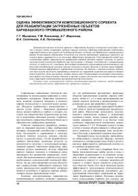 Оценка эффективности композиционного сорбента для реабилитации загрязнённых объектов Карабашского промышленного района