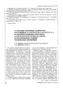 О находке венерина башмачка настоящего (Cypripedlum calceolus L.) и пыльцеголовника красного (Cephalanthera rubra (L.) Rich) в Ичалковском районе Республики Мордовия