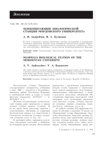 Млекопитающие биологической станции Мордовского университета