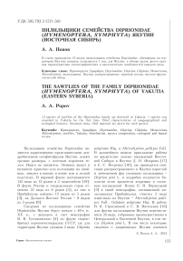 Пилильщики семейства Diprionidae (Hymenoptera, Symphyta) Якутии (Восточная Сибирь)