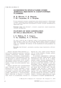 Особенности прорастания семян девясила высокого в лабораторных условиях