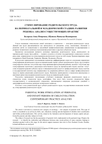 Стимулирование родительского труда на перинатальной и младенческой стадиях развития ребенка: анализ существующих практик