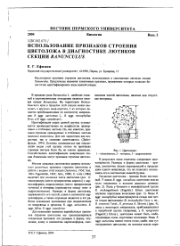 Использование признаков строения цветоложа в диагностике лютиков секции Ranunculus