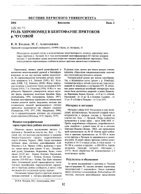 Роль хирономид в бентофауне притоков р. Чусовой