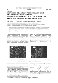 Изучение углеводородокисляющей активности родококков, иммобилизованных в макропористом криогеле поливинилового спирта