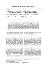 Скрининг и изучение ключевых генов катаболизма бифенила и полихлорированных бифенилов у аэробных бактерий