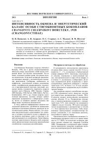 Интенсивность обмена и энергетический баланс особи стигобионтных бокоплавов Crangonyx chlebnikovi Borutzky, 1928 (Crangonyctidae)