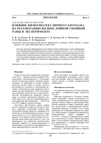 Влияние низкомолекулярного хитозана на регенерацию полнослойной гнойной раны в эксперименте