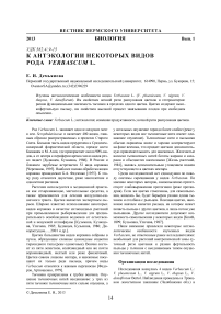 К антэкологии некоторых видов рода Verbascum L.