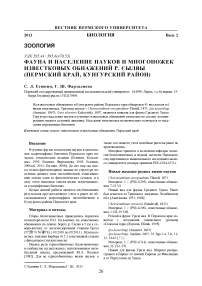 Фауна и население пауков и многоножек известковых обнажений р. Сылвы (Пермский край, Кунгурский район)