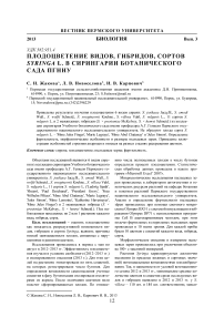 Плодоцветение видов, гибридов, сортов Syringa L. в сирингарии Ботанического сада ПГНИУ