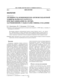 Активность компонентов антиоксидантной защиты Raphanus sativus L. при выращивании на почве, загрязненной сульфатами свинца и кадмия