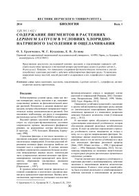 Содержание пигментов в растениях Lepidium sativum в условиях хлоридно-натриевого засоления и ощелачивания