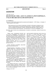 Болотная сова Asio flammeus (Pontoppidan, 1763) в Волжско-Камском крае