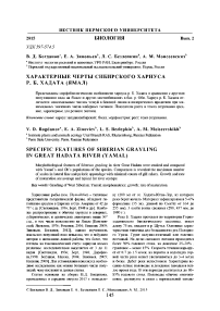 Характерные черты сибирского хариуса р. Б. Хадата (Ямал)