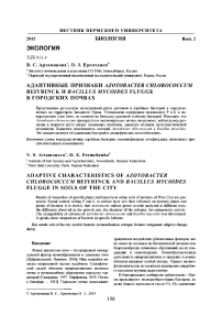 Адаптивные признаки Azotobacter chlorococcum Beiyrinck и Bacillus mycoides Flugge в городских почвах