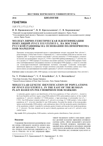 Молекулярно-генетическая идентификация популяций Pinus sylvestrys L. на востоке Русской равнины на основании полиморфизма ISSR-маркеров