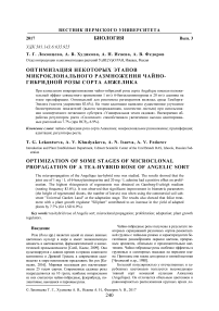 Оптимизация некоторых этапов микроклонального размножения чайно-гибридной розы сорта Анжелика