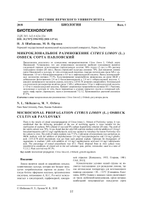 Микроклональное размножение Citrus limon (L.) Osbeck сорта Павловский