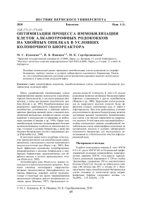 Оптимизация процесса иммобилизации клеток алканотрофных родококков на хвойных опилках в условиях колоночного биореактора
