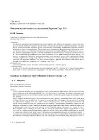 Неолитический комплекс поселения Барсова гора II/9
