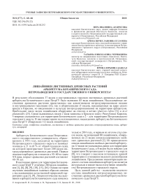 Лишайники лиственных древесных растений арборетума Ботанического сада Петрозаводского государственного университета