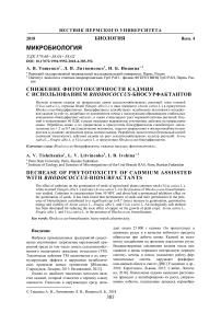 Снижение фитотоксичности кадмия с использованием Rhodococcus-биосурфактантов