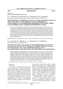 Изменение активности каталазы и пероксидаз в листьях овса посевного под влиянием отдельного и комбинированного воздействия засоления и рН-уровня корневой среды