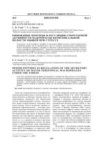 Опиоидные пептиды в регуляции секреторной активности макрофагов перитонеальной полости мышей при стрессе