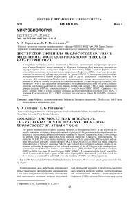 Деструктор бифенила Rhodococcus sp. VR43-1: выделение, молекулярно-биологическая характеристика
