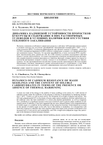 Динамика кадмиевой устойчивости проростков кукурузы и содержание в них растворимых углеводов в условиях наличия или отсутствия теплового закаливания