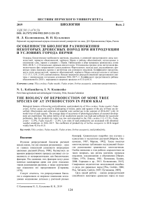 Особенности биологии размножения некоторых древесных пород при интродукции в условиях города Перми