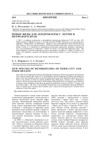 Новые виды для дендрофлоры г. Перми и Пермского края