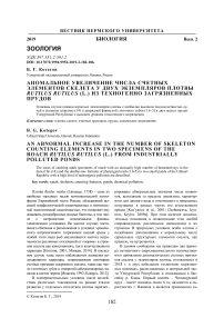Аномальное увеличение числа счетных элементов скелета у двух экземпляров плотвы Rutilus rutilus (L.) из техногенно загрязненных прудов