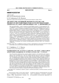Экспрессия активной формы каспазы-3 не является достоверным показателем индукции апоптоза в стимулированных CD4+ Т-лимфоцитах
