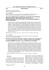 Деструкция бенз(а)пирена в почве штаммом Rhodococcus wratislaviensis KT112-7, выделенным из отходов соледобывающего предприятия