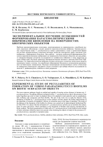 Экспериментальное изучение особенностей формирования парагемолитическими вибрионами биопленки на поверхностях биотических объектов