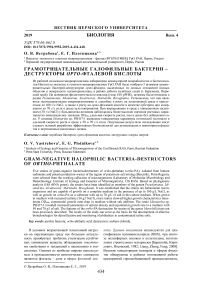Грамотрицательные галофильные бактерии - деструкторы ортофталевой кислоты
