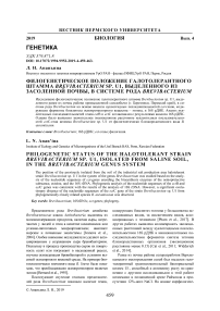 Филогенетическое положение галотолерантного штамма Brevibacterium sp. U1, выделенного из засоленной почвы, в системе рода Brevibacterium