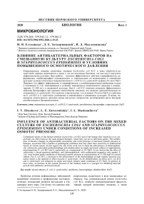 Влияние антибактериальных факторов на смешанную культуру Escherichia coli и Staphylococcus epidermidis в условиях повышенного осмотического давления