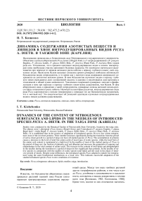 Динамика содержания азотистых веществ и липидов в хвое интродуцированных видов Picea а. Dietr. в таежной зоне (Карелия)