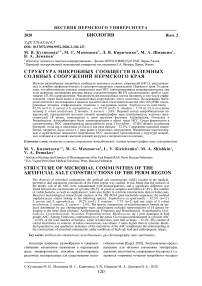 Структура микробных сообществ наземных соляных сооружений Пермского края