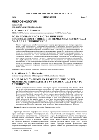 Роль полиаминов в ограничении проницаемости внешней мембраны Escherichia coli для антибиотиков