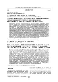 Гематологические показатели и паразитофауна ротана Perccottus glenii моновидового ихтиоценоза малого городского водоема
