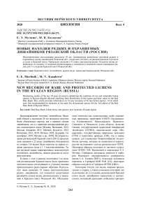 Новые находки редких и охраняемых лишайников Рязанской области (Россия)