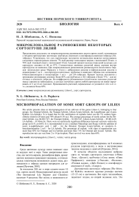 Микроклональное размножение некоторых сортогрупп лилий